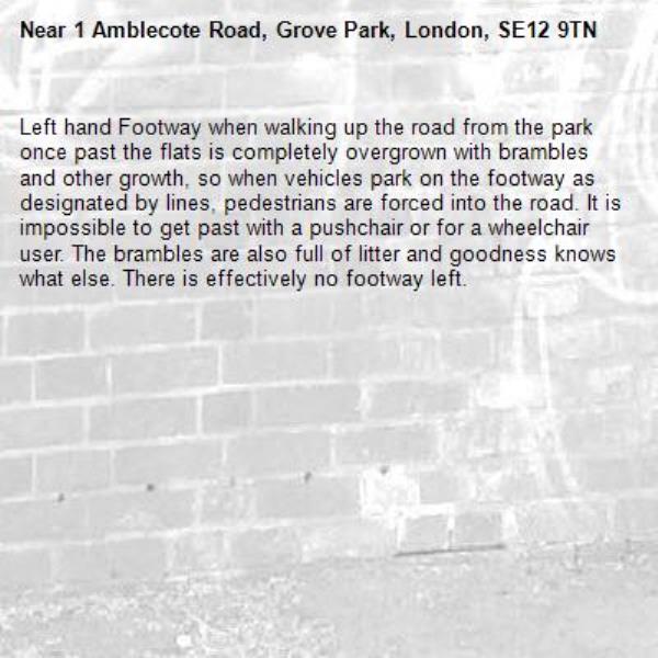 Left hand Footway when walking up the road from the park once past the flats is completely overgrown with brambles and other growth, so when vehicles park on the footway as designated by lines, pedestrians are forced into the road. It is impossible to get past with a pushchair or for a wheelchair user. The brambles are also full of litter and goodness knows what else. There is effectively no footway left. -1 Amblecote Road, Grove Park, London, SE12 9TN