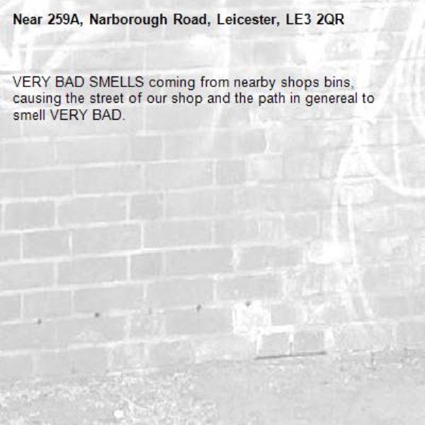 VERY BAD SMELLS coming from nearby shops bins, causing the street of our shop and the path in genereal to smell VERY BAD.-259A, Narborough Road, Leicester, LE3 2QR