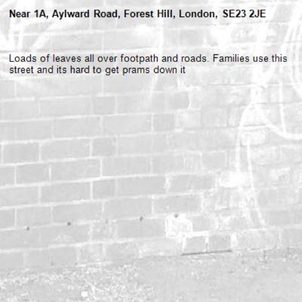 Loads of leaves all over footpath and roads. Families use this street and its hard to get prams down it-1A, Aylward Road, Forest Hill, London, SE23 2JE