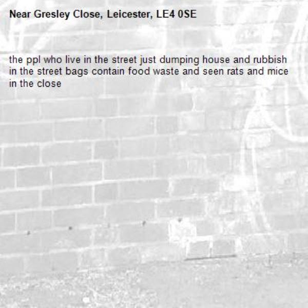 the ppl who live in the street just dumping house and rubbish in the street bags contain food waste and seen rats and mice in the close  -Gresley Close, Leicester, LE4 0SE