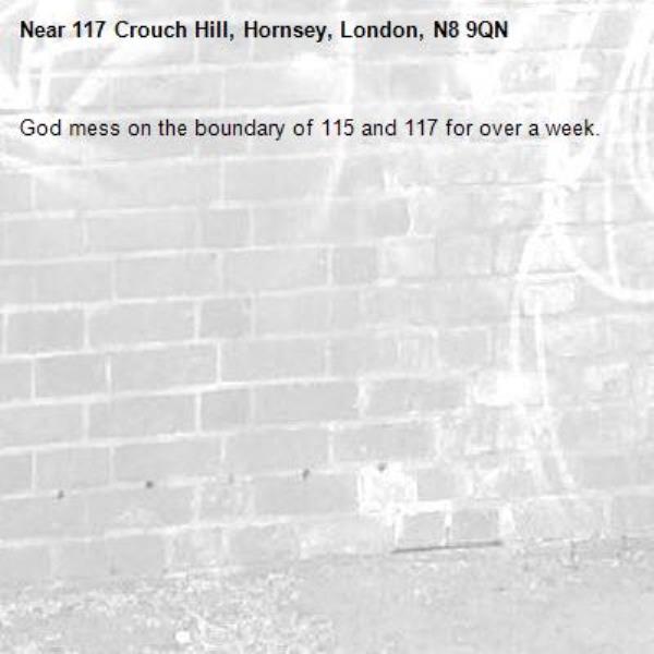 God mess on the boundary of 115 and 117 for over a week. -117 Crouch Hill, Hornsey, London, N8 9QN