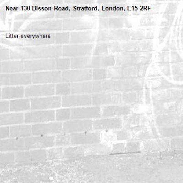 Litter everywhere-130 Bisson Road, Stratford, London, E15 2RF