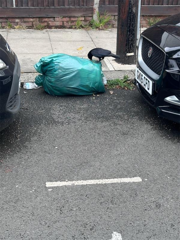 Dumped rubbish opposite 73 Holcombe Road N17 9AR-73 Holcombe Road, Tottenham, London, N17 9AR