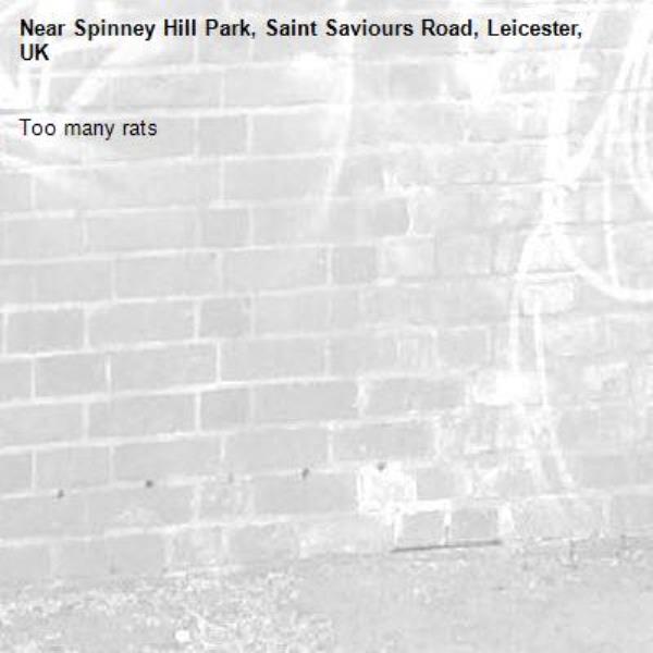 Too many rats-Spinney Hill Park, Saint Saviours Road, Leicester, UK