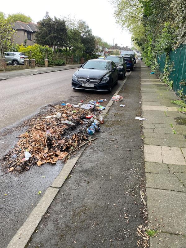 Long term litter including noxious liquids-49 Calmont Road, Bromley, BR1 4BY
