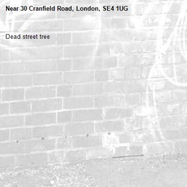Dead street tree-30 Cranfield Road, London, SE4 1UG