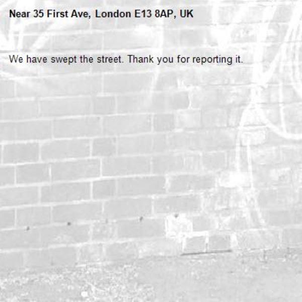 We have swept the street. Thank you for reporting it.-35 First Ave, London E13 8AP, UK