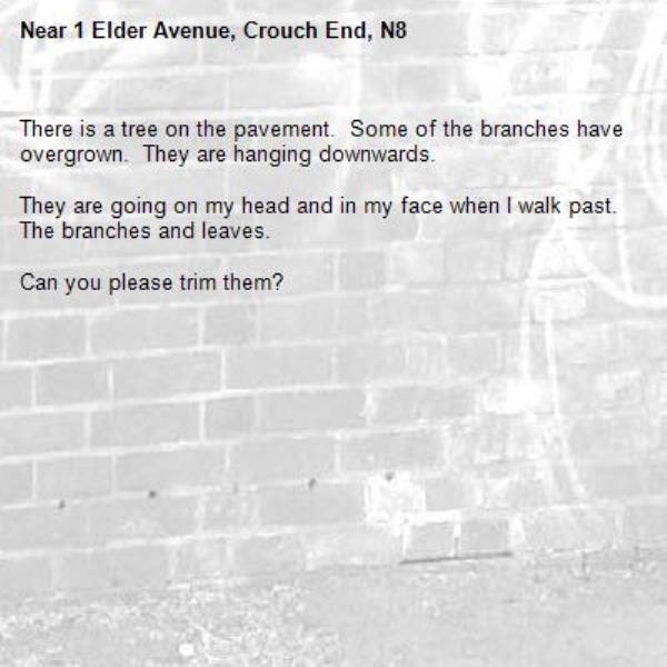 There is a tree on the pavement.  Some of the branches have overgrown.  They are hanging downwards.

They are going on my head and in my face when I walk past.  The branches and leaves.

Can you please trim them?
-1 Elder Avenue, Crouch End, N8