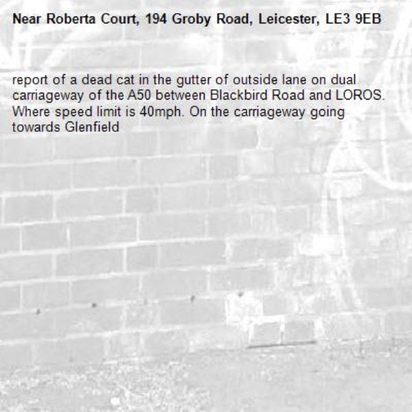 report of a dead cat in the gutter of outside lane on dual carriageway of the A50 between Blackbird Road and LOROS. Where speed limit is 40mph. On the carriageway going towards Glenfield-Roberta Court, 194 Groby Road, Leicester, LE3 9EB