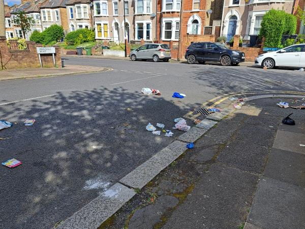 Scattered food and kitchen waste. Foxes again and idiots leaving bags of it around-1 Birkhall Road, Catford, London, SE6 1TF