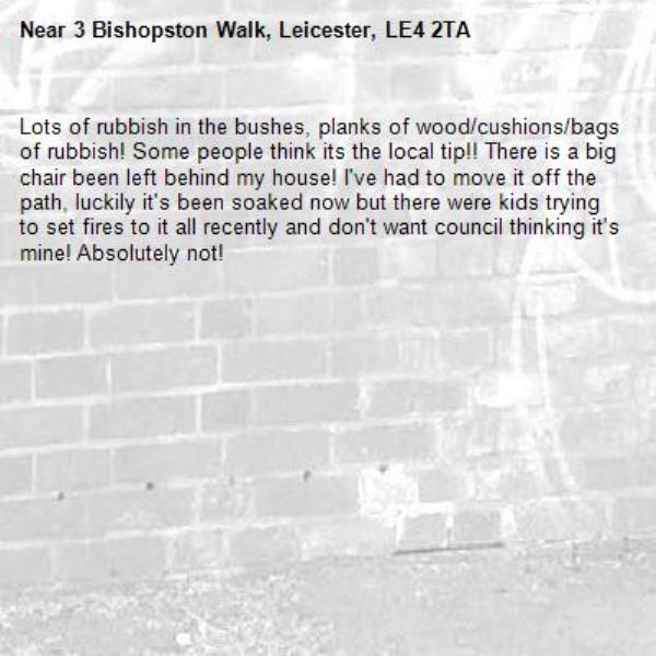 Lots of rubbish in the bushes, planks of wood/cushions/bags of rubbish! Some people think its the local tip!! There is a big chair been left behind my house! I've had to move it off the path, luckily it's been soaked now but there were kids trying to set fires to it all recently and don't want council thinking it's mine! Absolutely not!-3 Bishopston Walk, Leicester, LE4 2TA