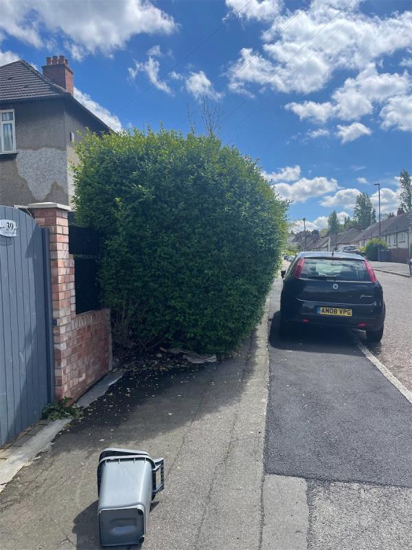 Hedge takes over half the pathway, when car is parking there no way to walk safely-39 Leafy Oak Road, Grove Park, London, SE12 9RS