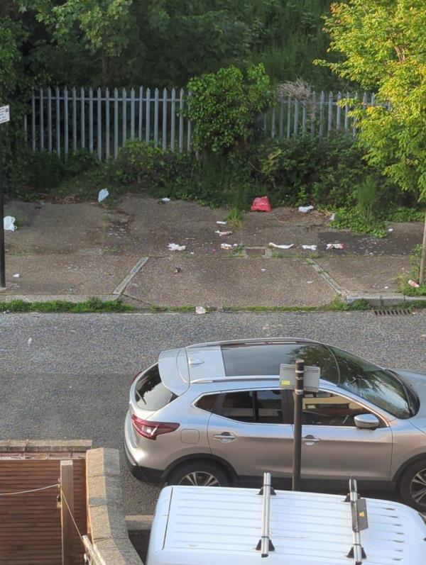 Litter everywhere from the cars that come at night-123 Crofton Road, Plaistow, London, E13 8QT