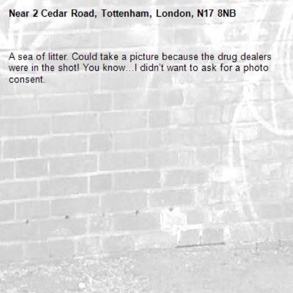 A sea of litter. Could take a picture because the drug dealers were in the shot! You know…I didn’t want to ask for a photo consent. -2 Cedar Road, Tottenham, London, N17 8NB