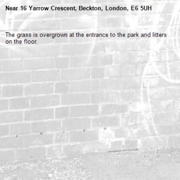 The grass is overgrown at the entrance to the park and litters on the floor.   -16 Yarrow Crescent, Beckton, London, E6 5UH