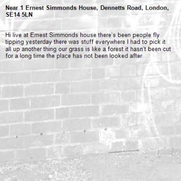 Hi live at Ernest Simmonds house there’s been people fly tipping yesterday there was stuff everywhere I had to pick it all up another thing our grass is like a forest it hasn’t been cut for a long time the place has not been looked after -1 Ernest Simmonds House, Dennetts Road, London, SE14 5LN