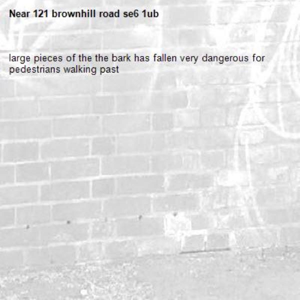 large pieces of the the bark has fallen very dangerous for pedestrians walking past-121 brownhill road se6 1ub