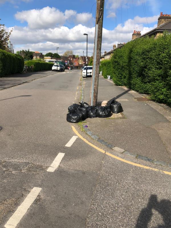 Bags of flytipping in the same place it’s dumped almost daily!!!-1 Romborough Gardens, Hither Green, London, SE13 6NT