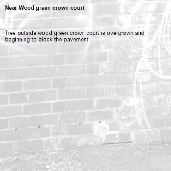 Tree outside wood green crown court is overgrown and beginning to block the pavement -Wood green crown court 