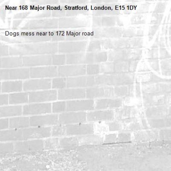 Dogs mess near to 172 Major road -168 Major Road, Stratford, London, E15 1DY