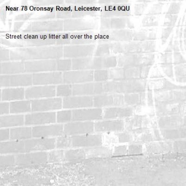 Street clean up litter all over the place-78 Oronsay Road, Leicester, LE4 0QU