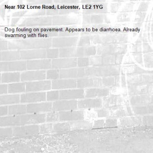 Dog fouling on pavement. Appears to be diarrhoea. Already swarming with flies. -102 Lorne Road, Leicester, LE2 1YG