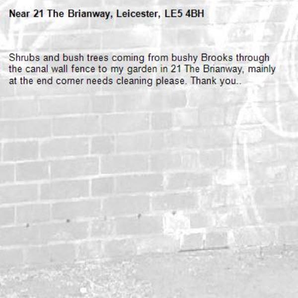 Shrubs and bush trees coming from bushy Brooks through the canal wall fence to my garden in 21 The Brianway, mainly at the end corner needs cleaning please. Thank you.. -21 The Brianway, Leicester, LE5 4BH