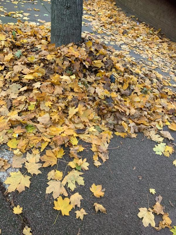 The whole area is full of leaves which have not been swept for 3 weeks. Which could cause someone to trip or fall. The residents have had to resort to cleaning it themselves. However, it’s too much now. Please could you send someone, a few people to clear the area and maintain the cleansing of the area. Thank you. -457 Prince Regent Lane, Custom House, E16 3HX, England, United Kingdom