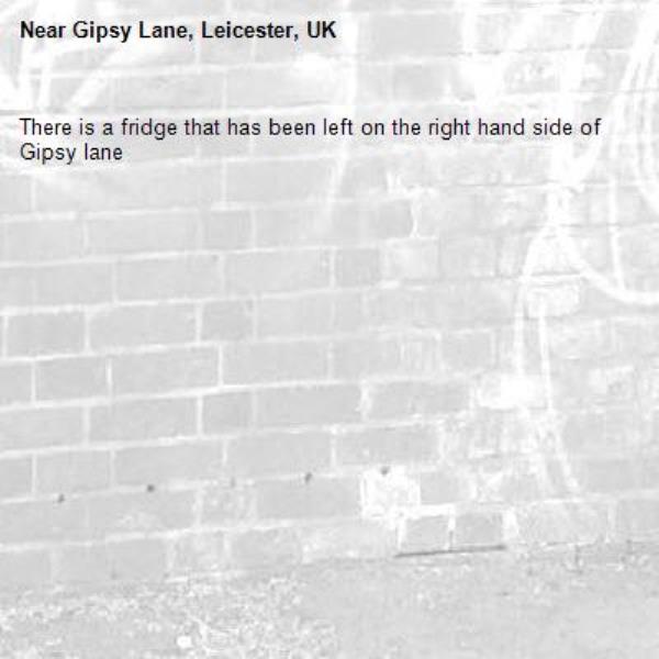 There is a fridge that has been left on the right hand side of Gipsy lane-Gipsy Lane, Leicester, UK