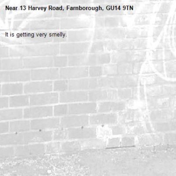 It is getting very smelly.-13 Harvey Road, Farnborough, GU14 9TN