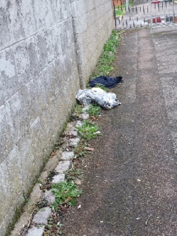 household rubbish dumped-75 Whitley Wood Lane, Reading, RG2 8PW