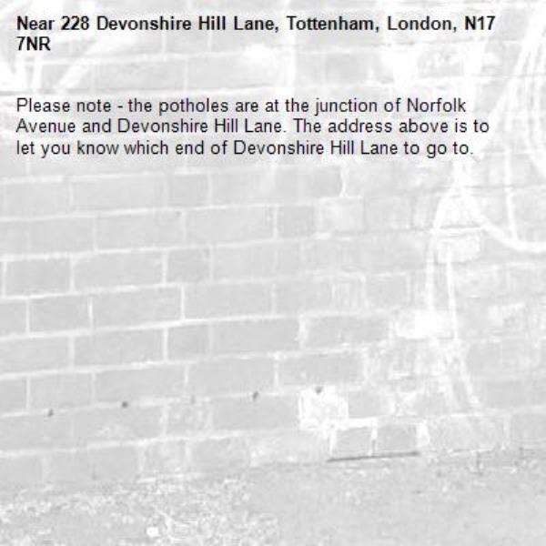 Please note - the potholes are at the junction of Norfolk Avenue and Devonshire Hill Lane. The address above is to let you know which end of Devonshire Hill Lane to go to. -228 Devonshire Hill Lane, Tottenham, London, N17 7NR