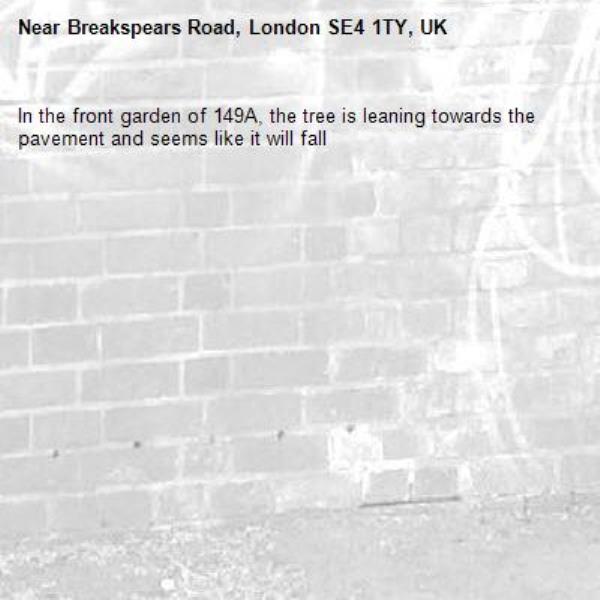 In the front garden of 149A, the tree is leaning towards the pavement and seems like it will fall-Breakspears Road, London SE4 1TY, UK