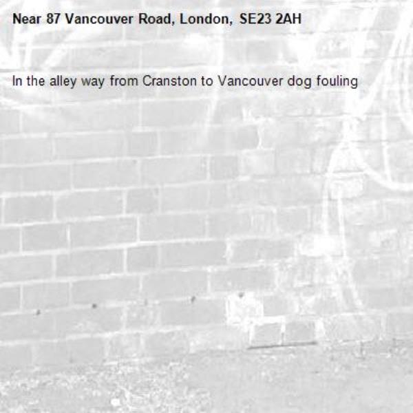 In the alley way from Cranston to Vancouver dog fouling -87 Vancouver Road, London, SE23 2AH