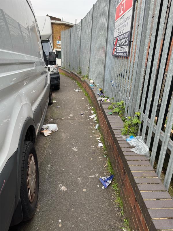 This entire street is permanent littered with rubbish which clearly attracts vermin-21A, Willow Way, London, SE26 4QP
