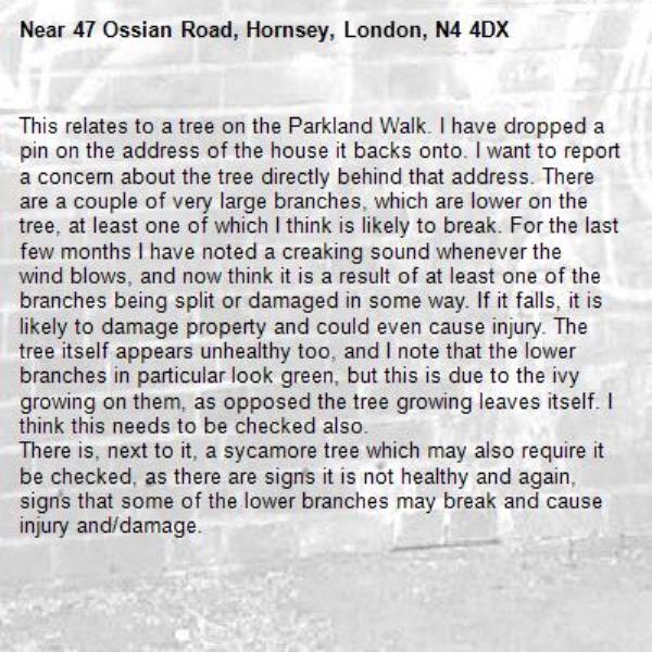 This relates to a tree on the Parkland Walk. I have dropped a pin on the address of the house it backs onto. I want to report a concern about the tree directly behind that address. There are a couple of very large branches, which are lower on the tree, at least one of which I think is likely to break. For the last few months I have noted a creaking sound whenever the wind blows, and now think it is a result of at least one of the branches being split or damaged in some way. If it falls, it is likely to damage property and could even cause injury. The tree itself appears unhealthy too, and I note that the lower branches in particular look green, but this is due to the ivy growing on them, as opposed the tree growing leaves itself. I think this needs to be checked also. 
There is, next to it, a sycamore tree which may also require it be checked, as there are signs it is not healthy and again, signs that some of the lower branches may break and cause injury and/damage. -47 Ossian Road, Hornsey, London, N4 4DX