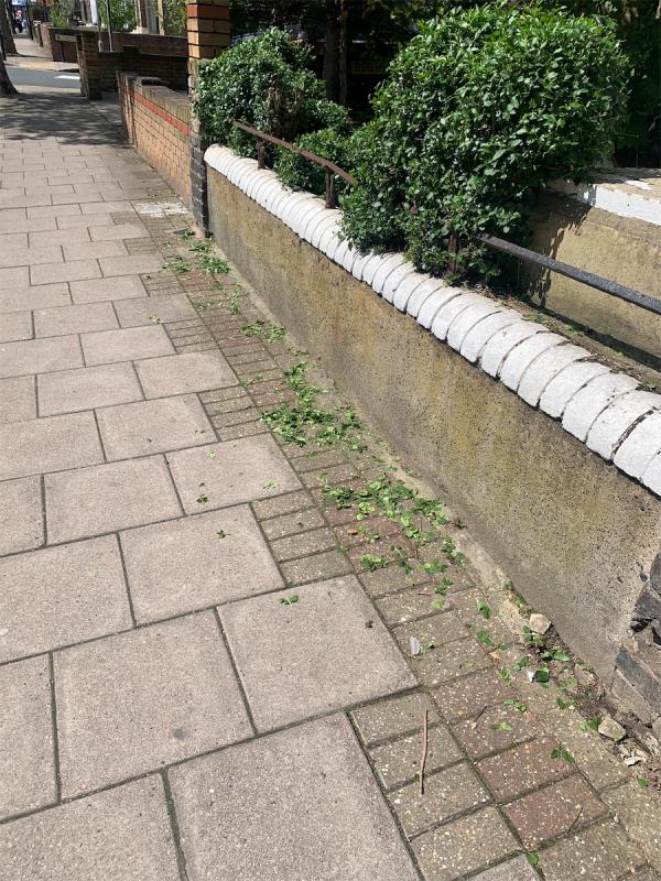 29a terraced rd. they shd clean after them -41A, Terrace Road, Plaistow, London, E13 0PP