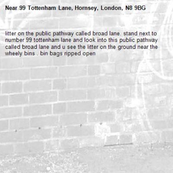 litter on the public pathway called broad lane. stand next to number 99 tottenham lane and look into this public pathway called broad lane and u see the litter on the ground near the wheely bins . bin bags ripped open-99 Tottenham Lane, Hornsey, London, N8 9BG