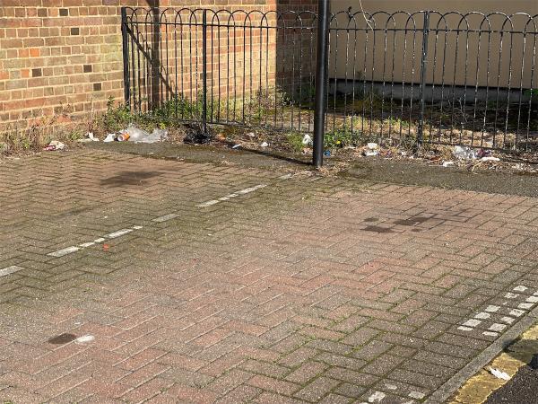 Trash from over flowing bins. -1 Shirley Road, Stratford, London, E15 4HL