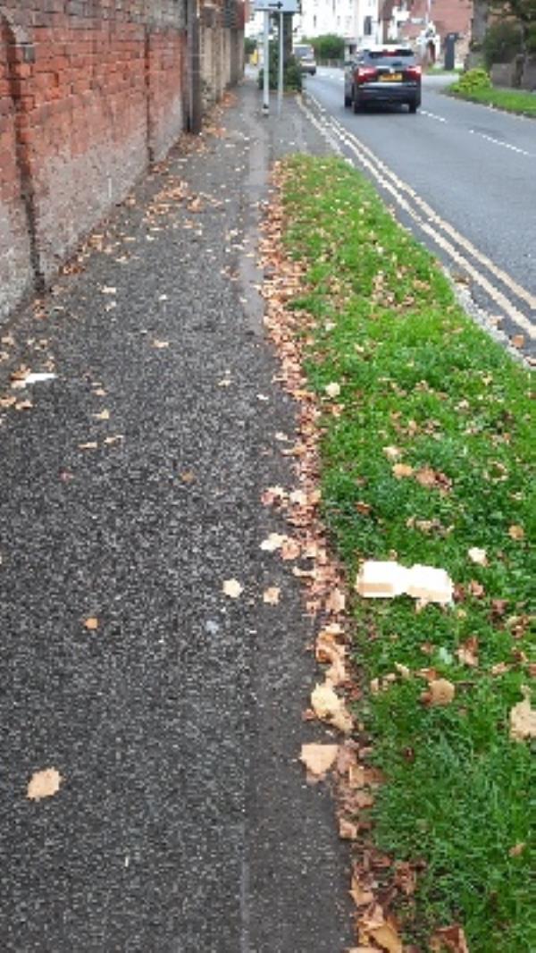 litter on path and verge Coley Avenue -1 Bath Road, RG1 6HH, England, United Kingdom