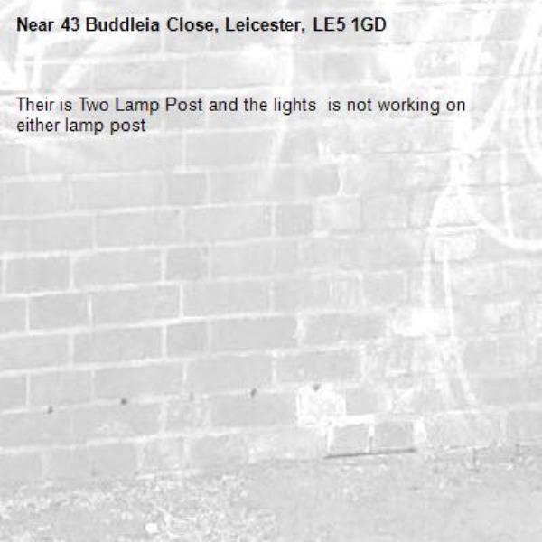 Their is Two Lamp Post and the lights  is not working on either lamp post-43 Buddleia Close, Leicester, LE5 1GD