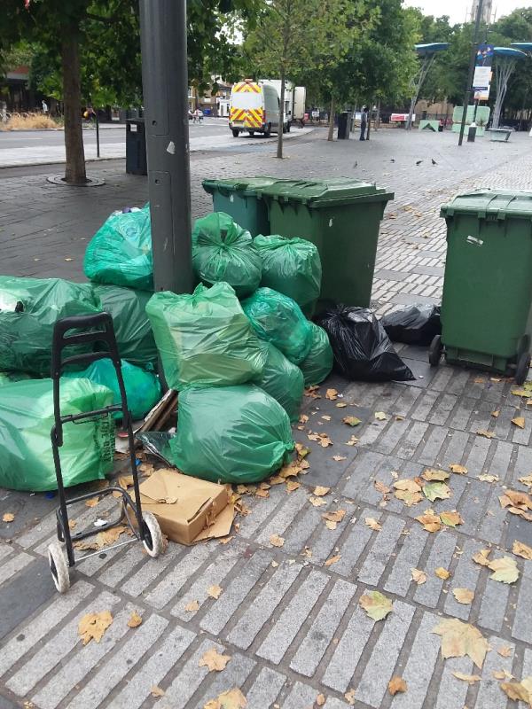 bin  bags and litter at this location-132 The Grove, London, E15 1NS