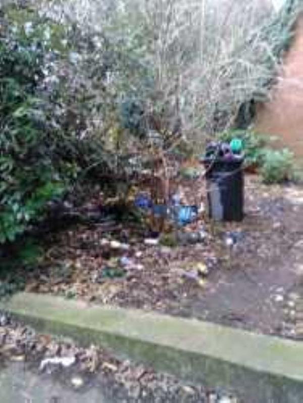 Waterlink way right next to Riverr. Please remove dumped wheelie bin. -48 Vineyard Close, London, SE6 4PQ