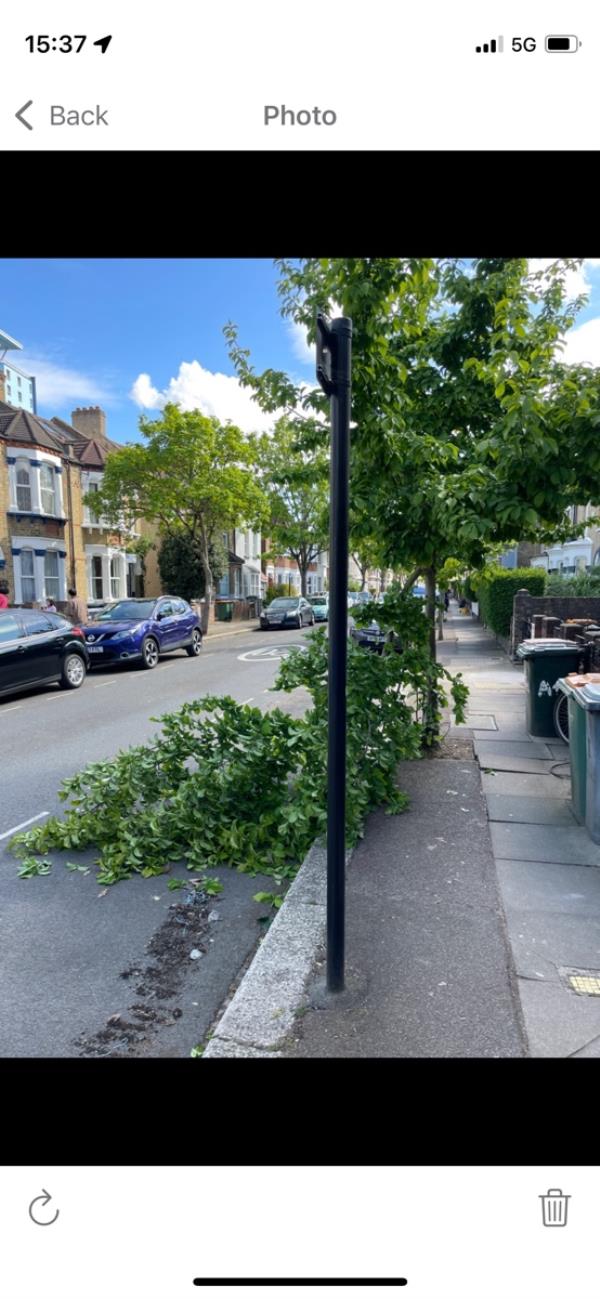 Tree hit by vehicle, large fallen branch-47 East Road, Stratford, London, E15 3QS