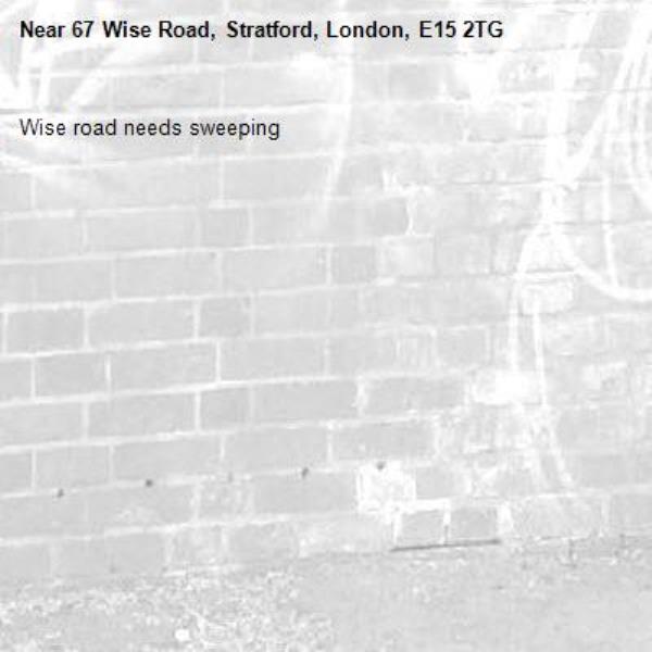 Wise road needs sweeping -67 Wise Road, Stratford, London, E15 2TG