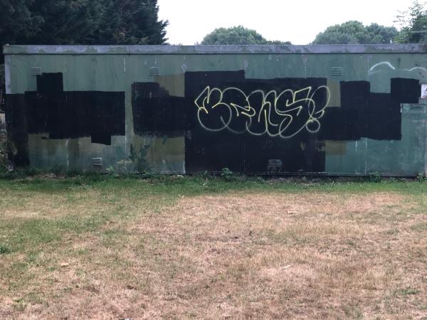 Beckenham Place Park. Please clear graffiti from green container by BMX Track-120 Old Bromley Road, Bromley, BR1 4JY
