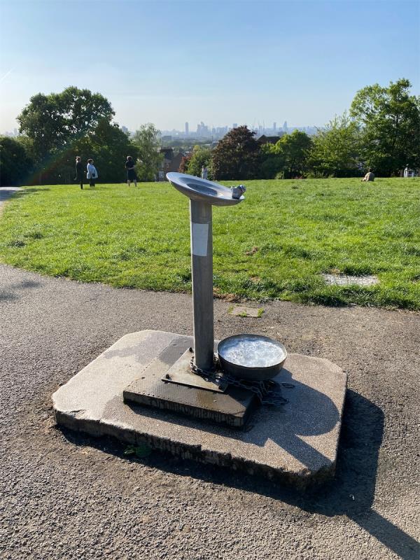 Water fountain in upper park is broken and leaking -First Floor Flat, 43 Drakefell Road, London, SE14 5SH