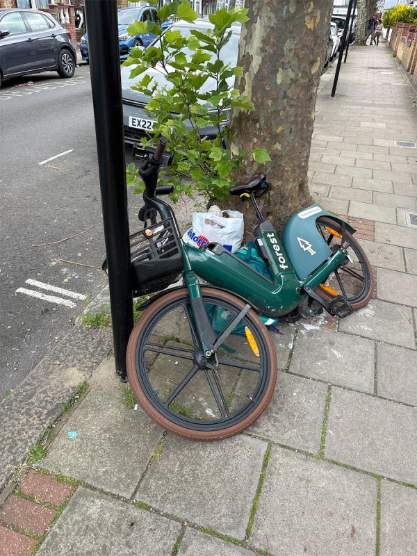 Fly tipping -34 Halley Road, Forest Gate, London, E7 8DT