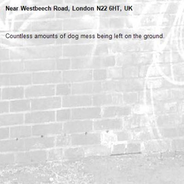 Countless amounts of dog mess being left on the ground. -Westbeech Road, London N22 6HT, UK
