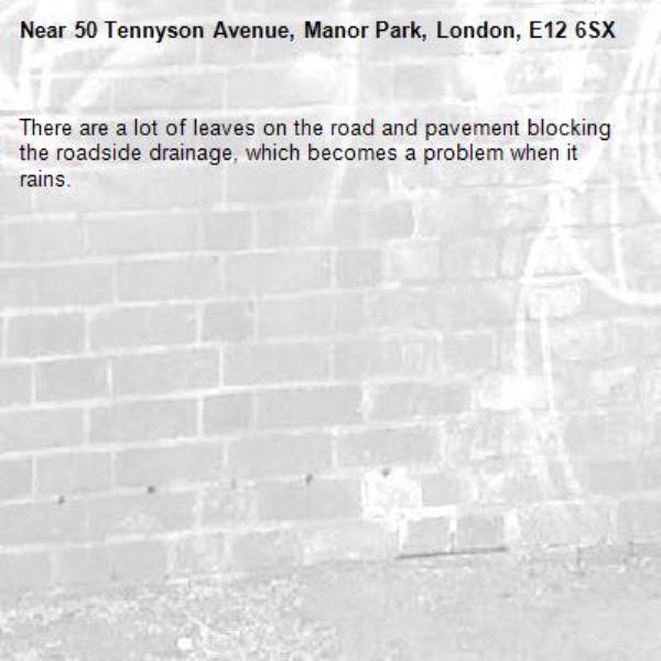 There are a lot of leaves on the road and pavement blocking the roadside drainage, which becomes a problem when it rains.-50 Tennyson Avenue, Manor Park, London, E12 6SX